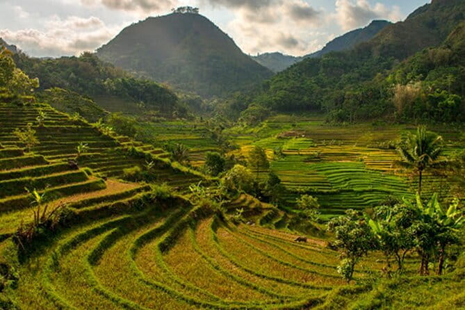 Borobudur Climb Up and Selogriyo Temple Rice Terraces Trekking - Should you book this tour?