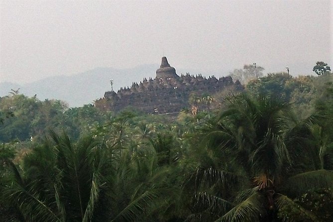 Borobudur Temple Combined Ticket Admissions - The human factor: when Ardi-style guiding makes temples click