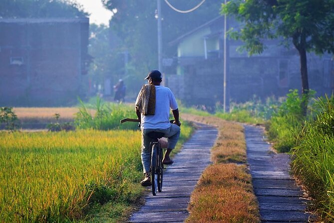 Cycling Tour in Yogyakarta with Lunch 3-Hour - Weather Matters More Than You Think
