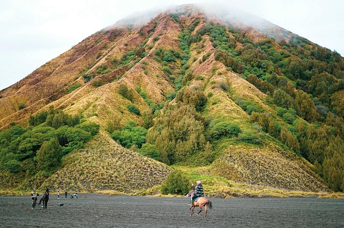 From Yogyakarta to Bali : Bromo and Kawah Ijen in 3 Day Adventure - Accommodation in Bromo and Ijen: simple stays with hot showers