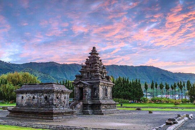 Full-Day Adventure: Tea Plantation & the Mystical Dieng Plateau - Sikatok Tea Garden: the calm before the geothermal chaos