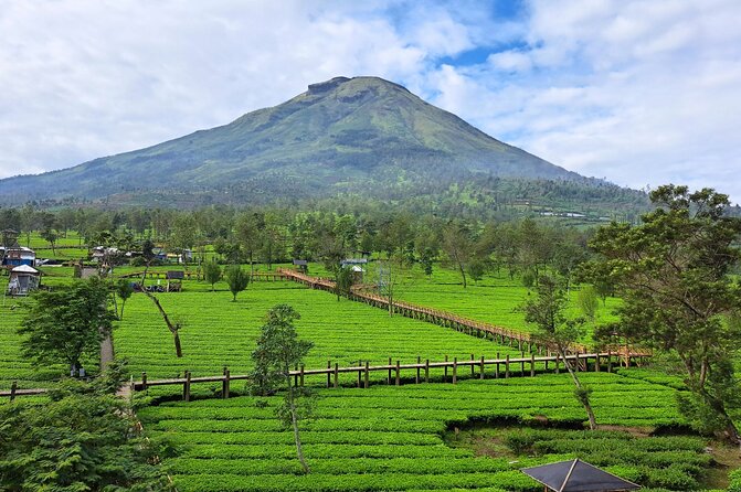 Full-Day Adventure: Tea Plantation & the Mystical Dieng Plateau - Arjuna Temple: stone carvings with mountain-air atmosphere