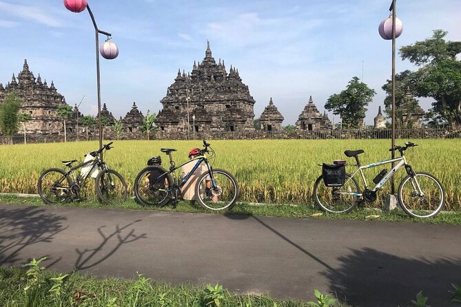 FUN Cycling Tour De Temples - The ride in between: rice fields, villages, and “how Jogja actually looks”