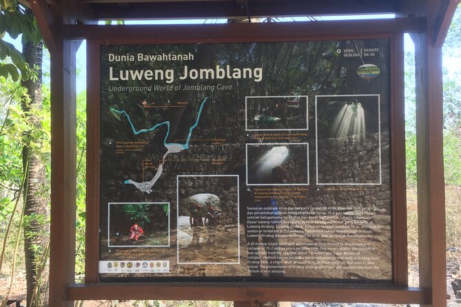 Kediwung Sunrise, Jomblang Cave, Timang Gondola Beach Day Tour - Stop 1: Bukit Panguk Kediwung Sunrise (Golden Hour Without the Chaos)