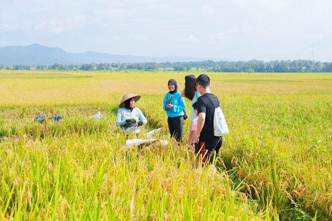 Menoreh Village Cycling - Food and drinks: what you’ll actually taste in the villages