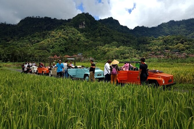 Private Borobudur Village Trip By Volkswagen Safari - Meeting point and timing: where to start and how to plan your day