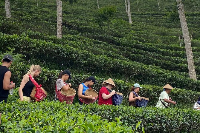 Private Half-Day Tea Village Discovery with lunch in Yogyakarta - Key points before you go
