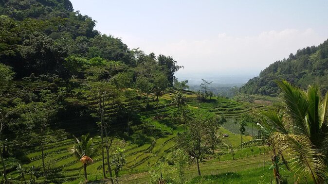 Selogriyo Temple and Trekking Java Rice Terraces, hidden waterfall -Nature Java - Key things that make this trip worth your time