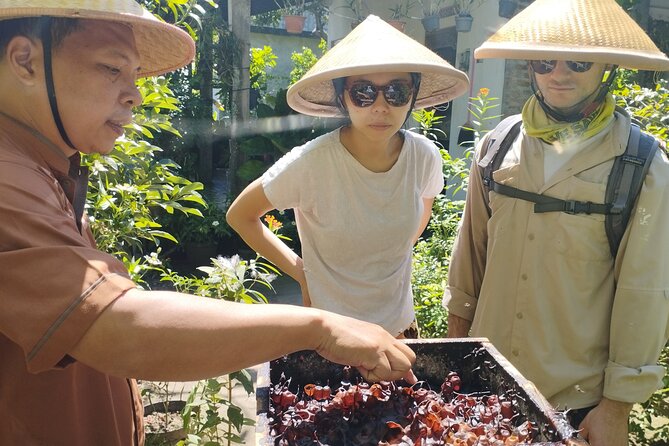 Temples and Bike Tours in the Village - Village Stops You’ll Remember: Emping, Tofu, and Honey From the Hive