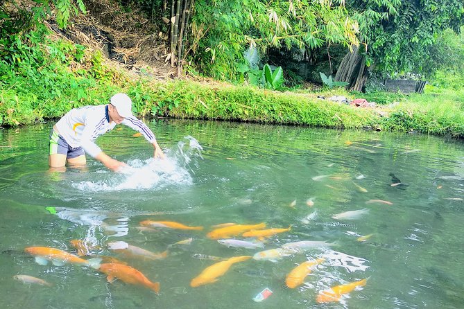 Yogyakarta Cycling Tour Around the Villages and Fish Farm - The value behind a $23 price tag