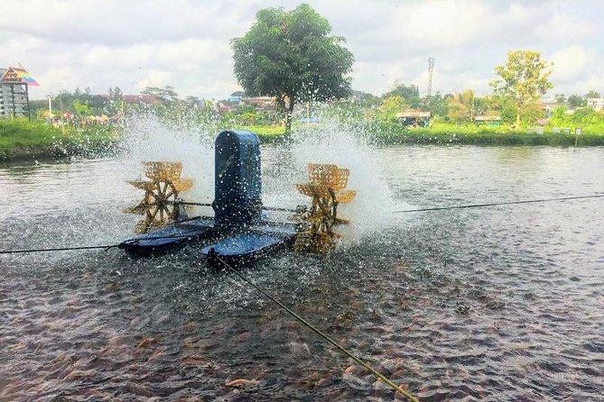 Yogyakarta Cycling Tour Around the Villages and Fish Farm - Pace, comfort, and who this tour is best for