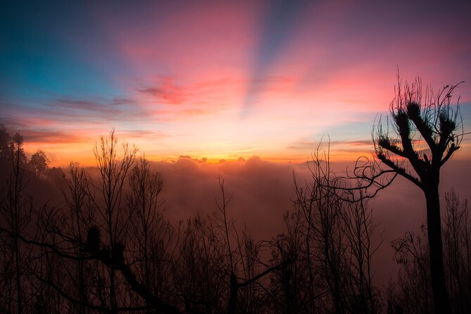 Yogyakarta to Bali 3 Days Bromo And Ijen ALL IN PRIVATE Tour - Private Yogyakarta to Bali Route: Overland, Then a Ferry